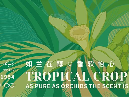 Commercial Case 11 ·【热作院】