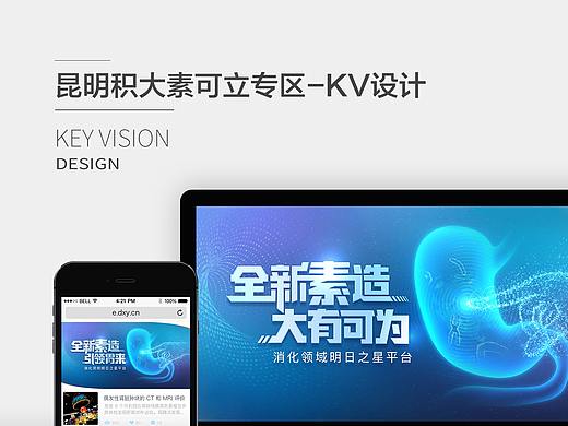 昆明积大素可立-专区-KV