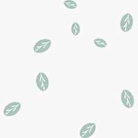 活的养乐多的个人主页（背景预览） - 主页背景设置 - 站酷设计师活的养乐多原创素材 - 站酷ZCOOL