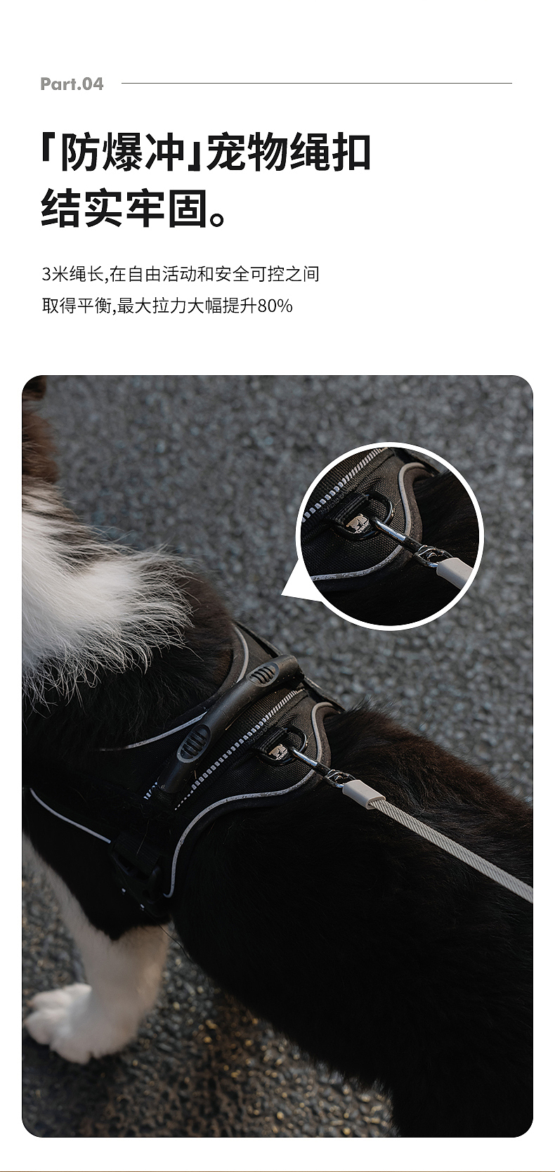宠物牵引绳