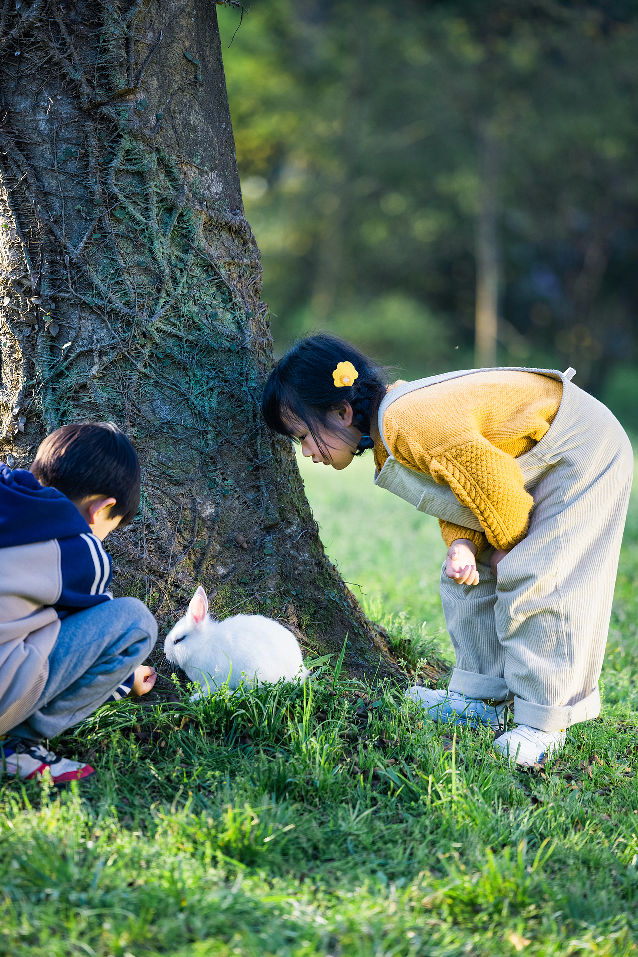 三月的春季，我们六岁啦（图ZMzM3NjI4MjA0） - 风光摄影 - 站酷设计师九堡刘德华原创素材 - 站酷ZCOOL