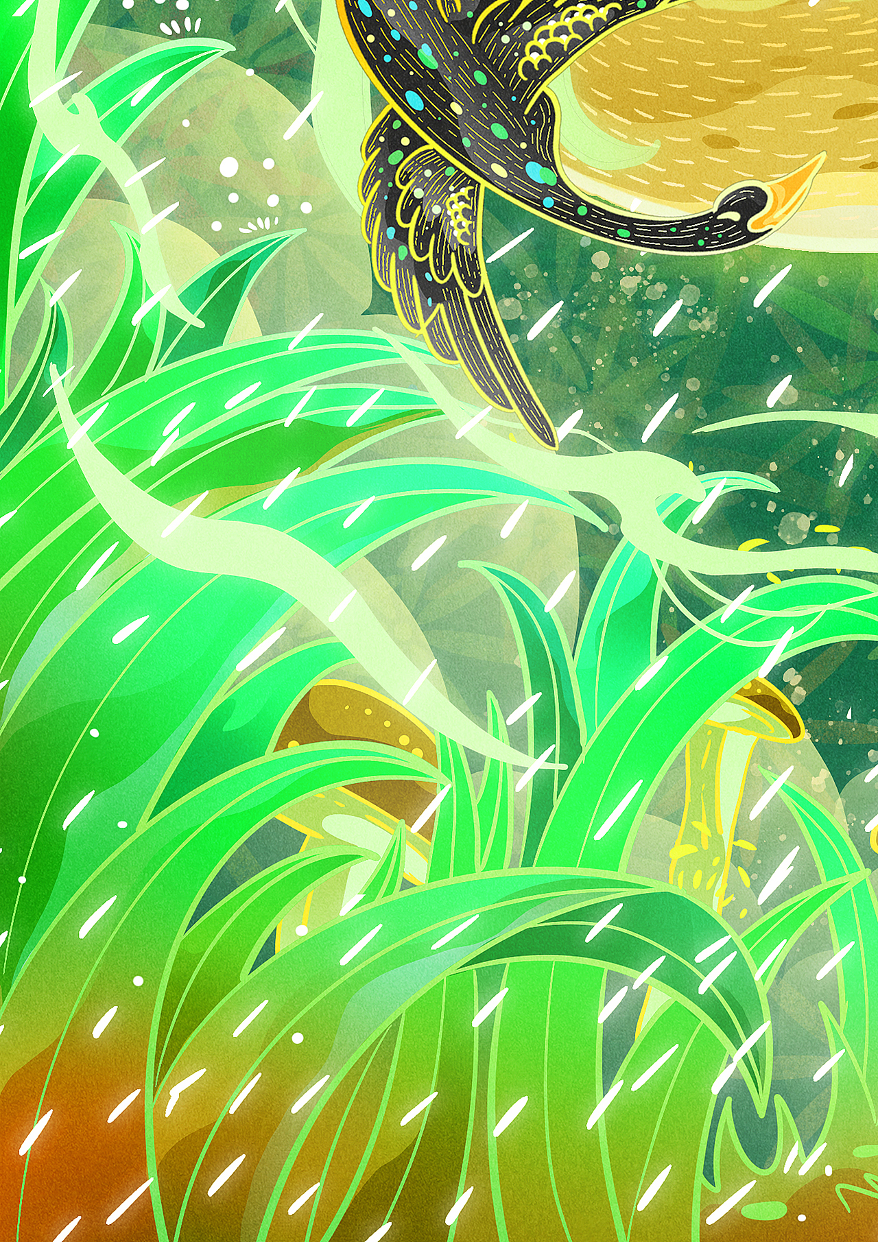 《二十四节气》系列——雨水