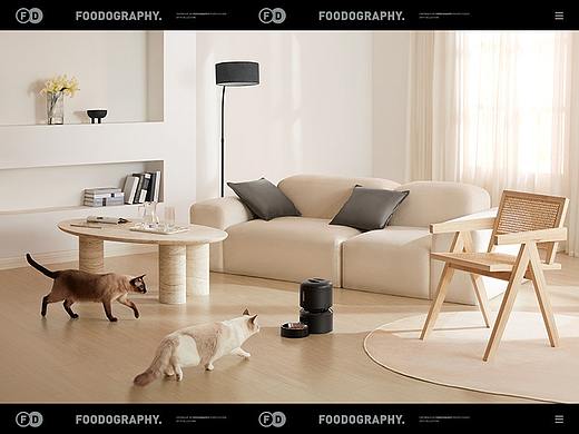 宠物用品摄影 | petlibro猫咪喂食器 ✖ foodography