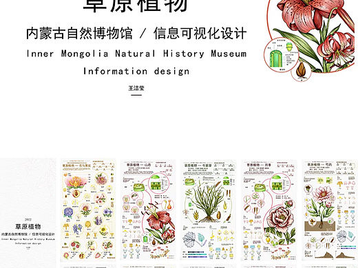 植物信息可视化设计