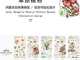 信息可视化