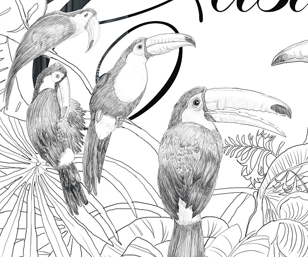 黑贝壳镜头筒平面广告（图ZNDYyNjM3Ng==） - 宣传物料 - 站酷设计师创生品牌设计原创素材 - 站酷ZCOOL