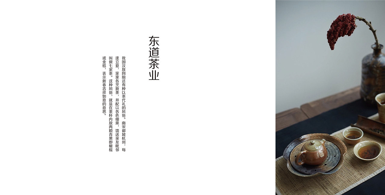 东道茶业画册