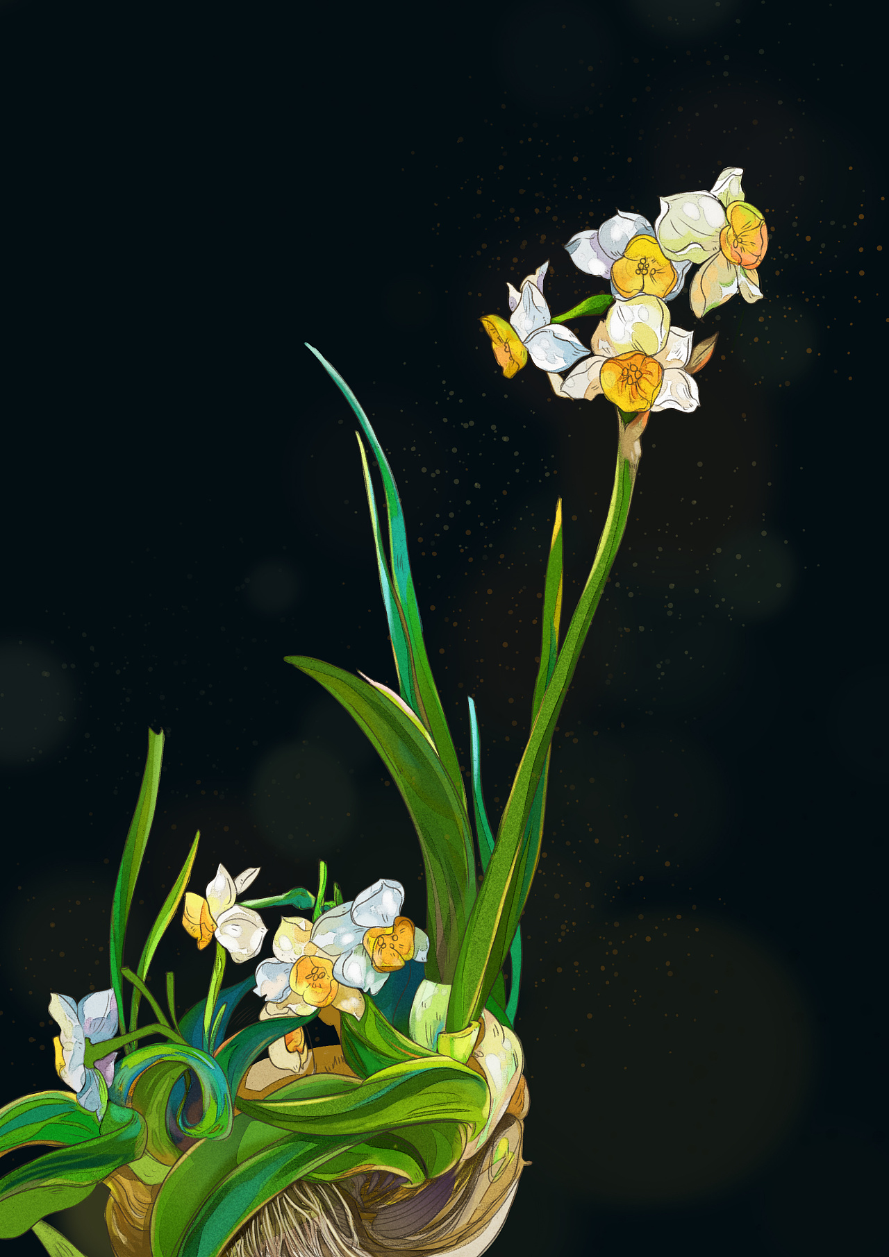 原创  -  插画  -  创作习作 台风kidtai , 禁止转载-禁止商业用途