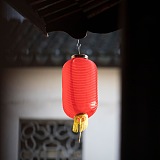 就这个feel的头像