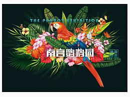 鹦鹉展主视觉