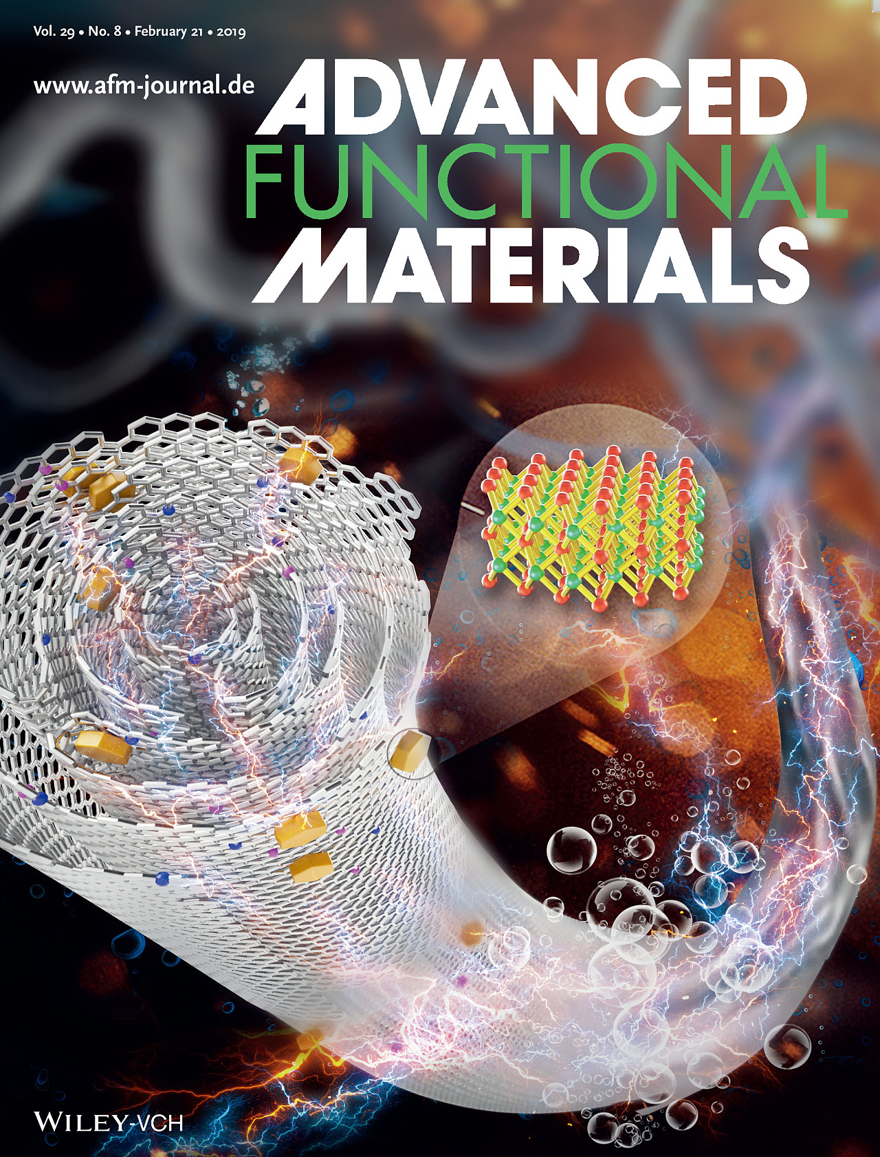afm 南科大 杂志封面设计 sci论文配图 医学插画