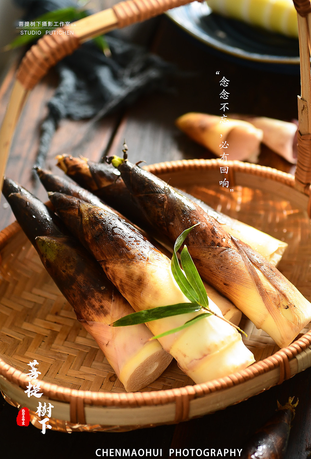 竹笋_摄影师陈茂辉-站酷zcool