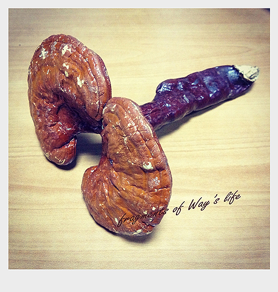 生活小片（我的小生活—如果感到幸福你就拍拍手）（图ZMjcxMDk3NDA=） - 其他摄影 - 站酷设计师晓蔚原创素材 - 站酷ZCOOL