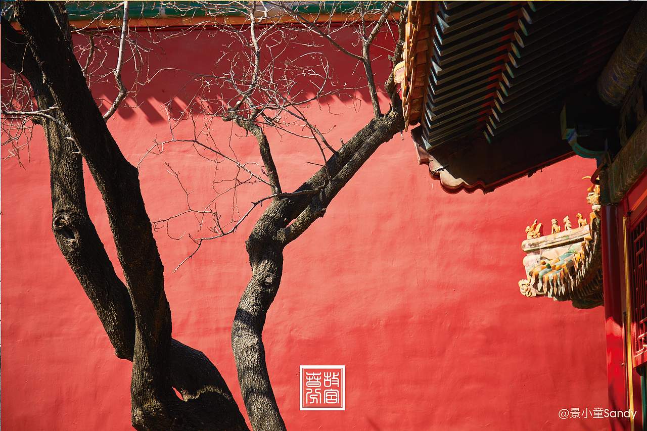 故宫春分---花朝节（图ZMTUyMTIwMTY0） - 风光摄影 - 站酷设计师景小童原创素材 - 站酷ZCOOL