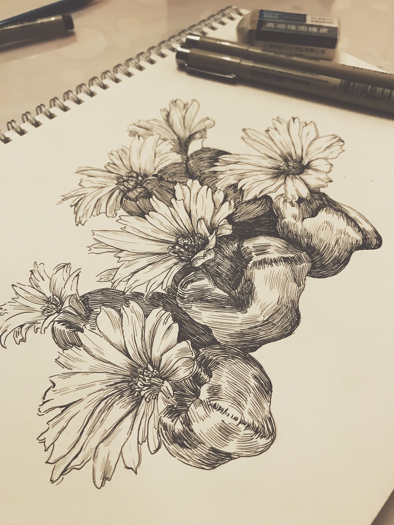 针管笔黑白插画 多肉植物 生石花（图ZNzA5MTgyNzI=） - 创作习作 - 站酷设计师蚊小盛原创素材 - 站酷ZCOOL