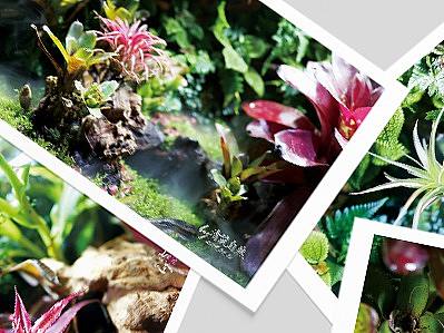 清筑自然 | 明信片 第2版（個人主頁-ZMzYzNjAzNDg=） - 宣傳物料 - 站酷設(shè)計(jì)師YAN_瑩兒原創(chuàng)素材 - 站酷ZCOOL