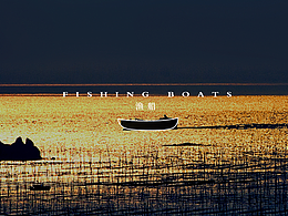 长顺渔岛·海鲜大排档