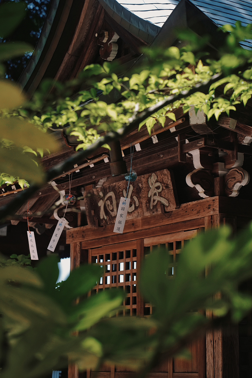 飛騨高山|夏至，心靜自然涼（图ZMzQzNjkwNjI0） - 风光摄影 - 站酷设计师飛驒高山約拍原创素材 - 站酷ZCOOL