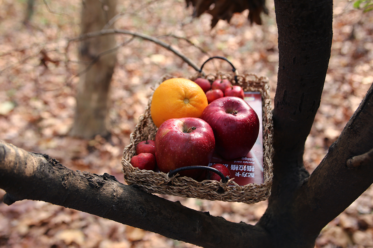 周末郊游拍照 难得清静 美食拍摄 户外静物水果面包拍摄|摄影|静物
