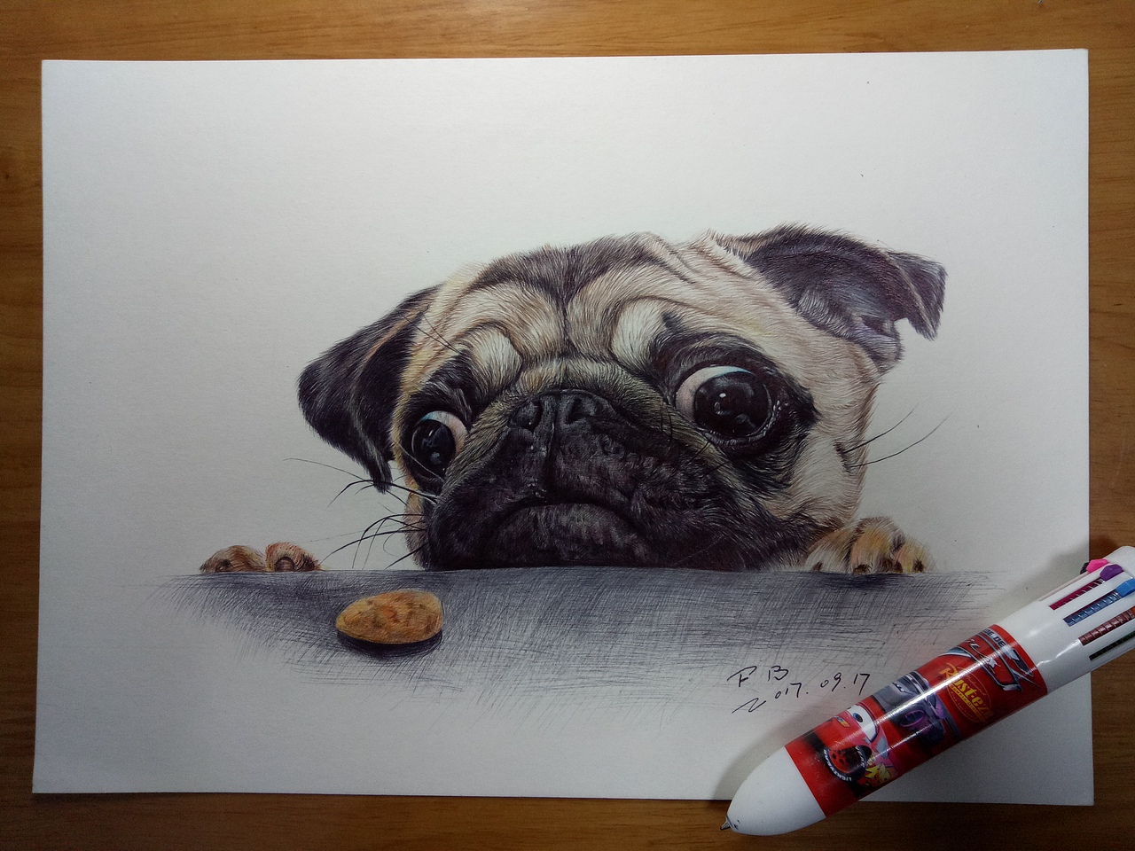 彩色圆珠笔画-动物篇