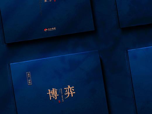 东方集团企业形象画册设计