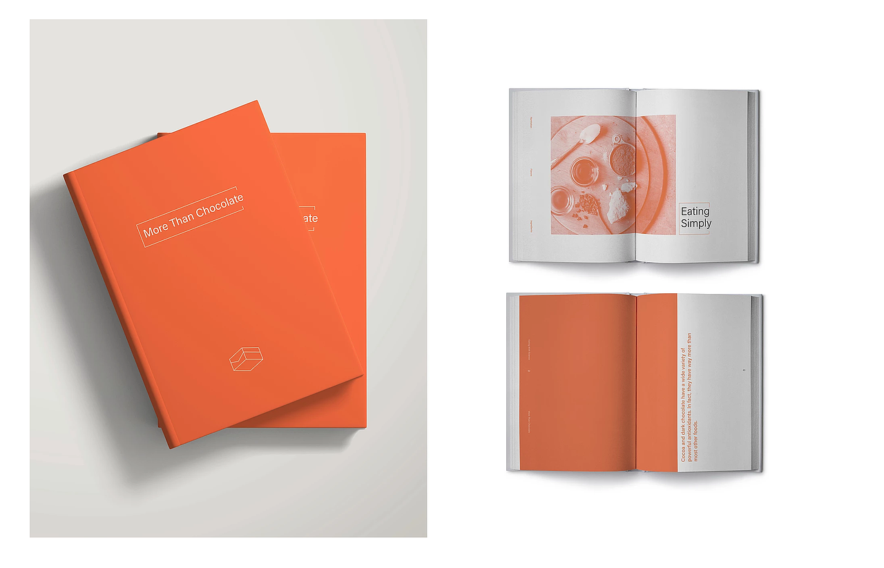 大脸设计--书籍--版式设计