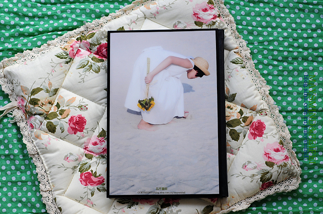 关于五月夏田 相册