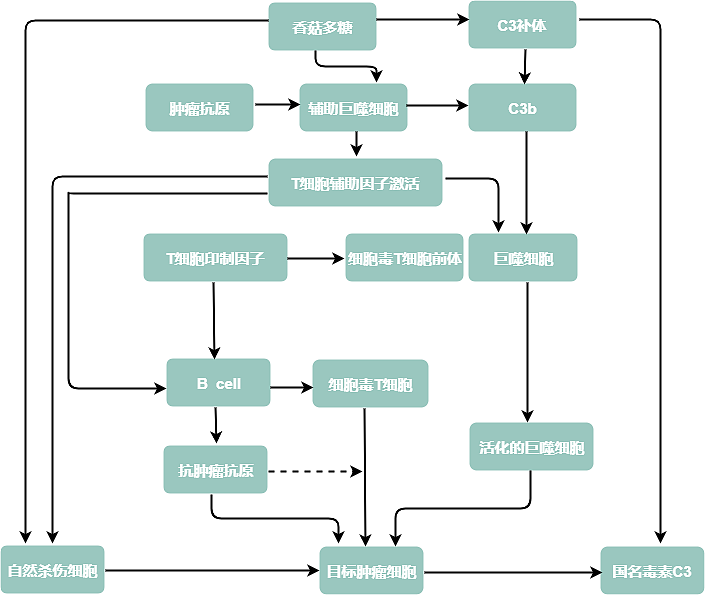 生物研究流程图迅捷画图