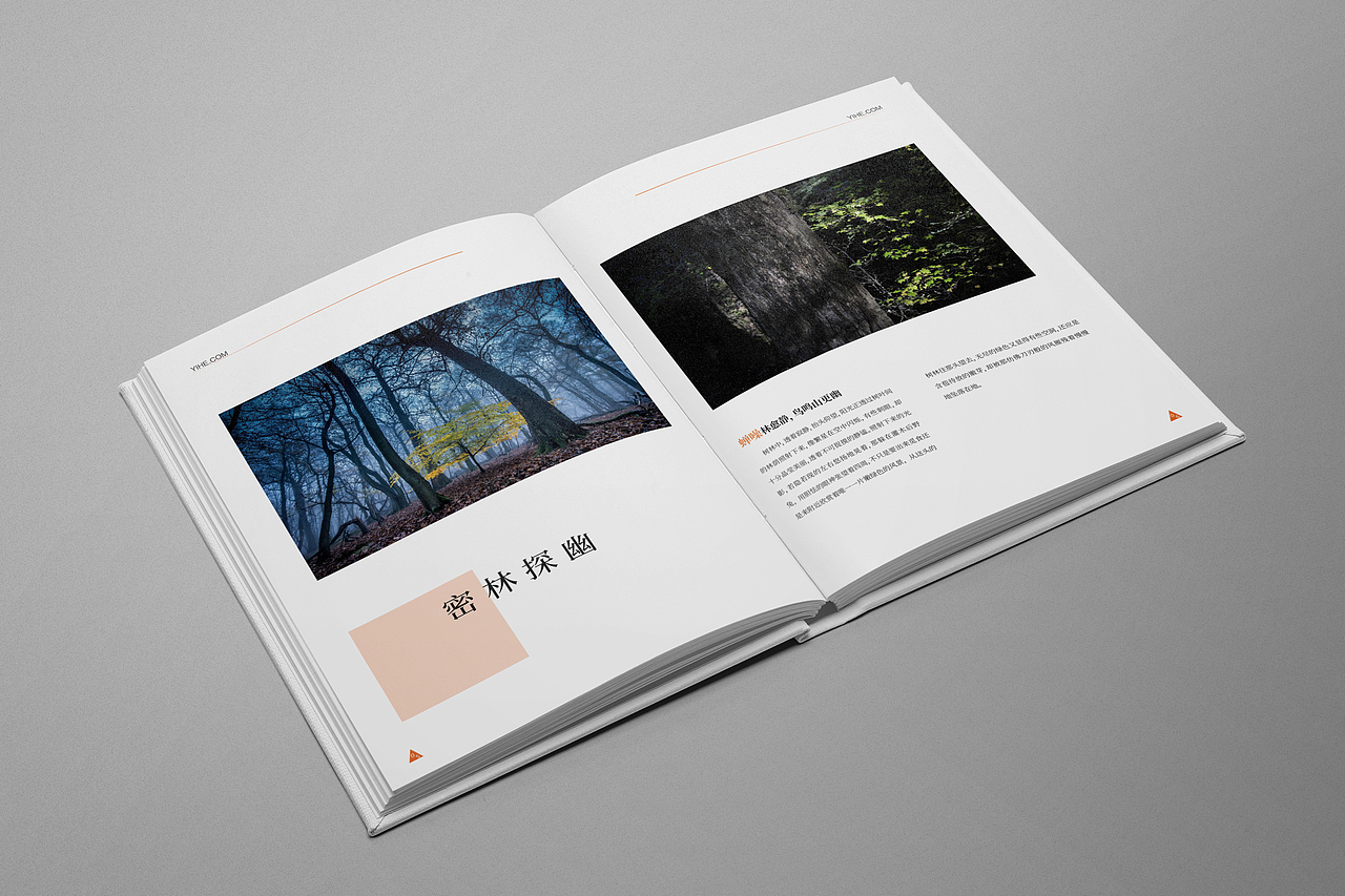 一和映像摄影画册