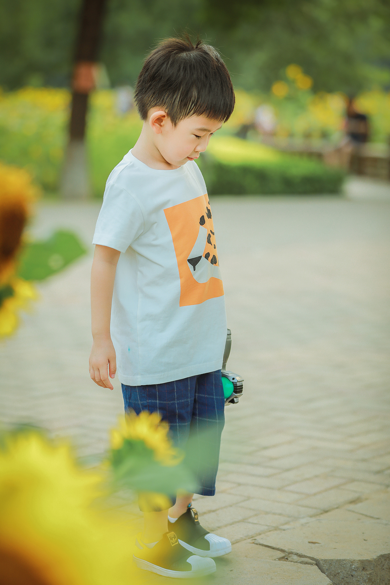 小希学长拍娃记 | 葵园童趣