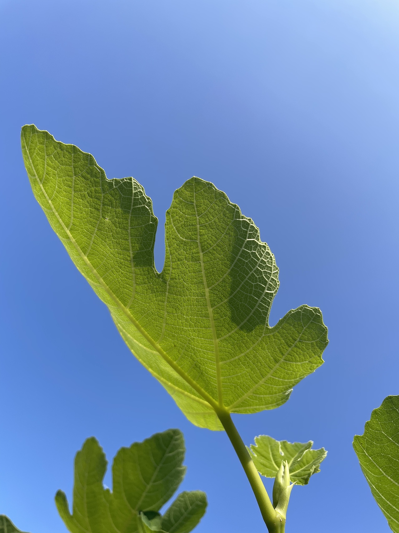 五一假期（图ZMjk5ODUxNzM2） - 风光摄影 - 站酷设计师关尔zheng原创素材 - 站酷ZCOOL