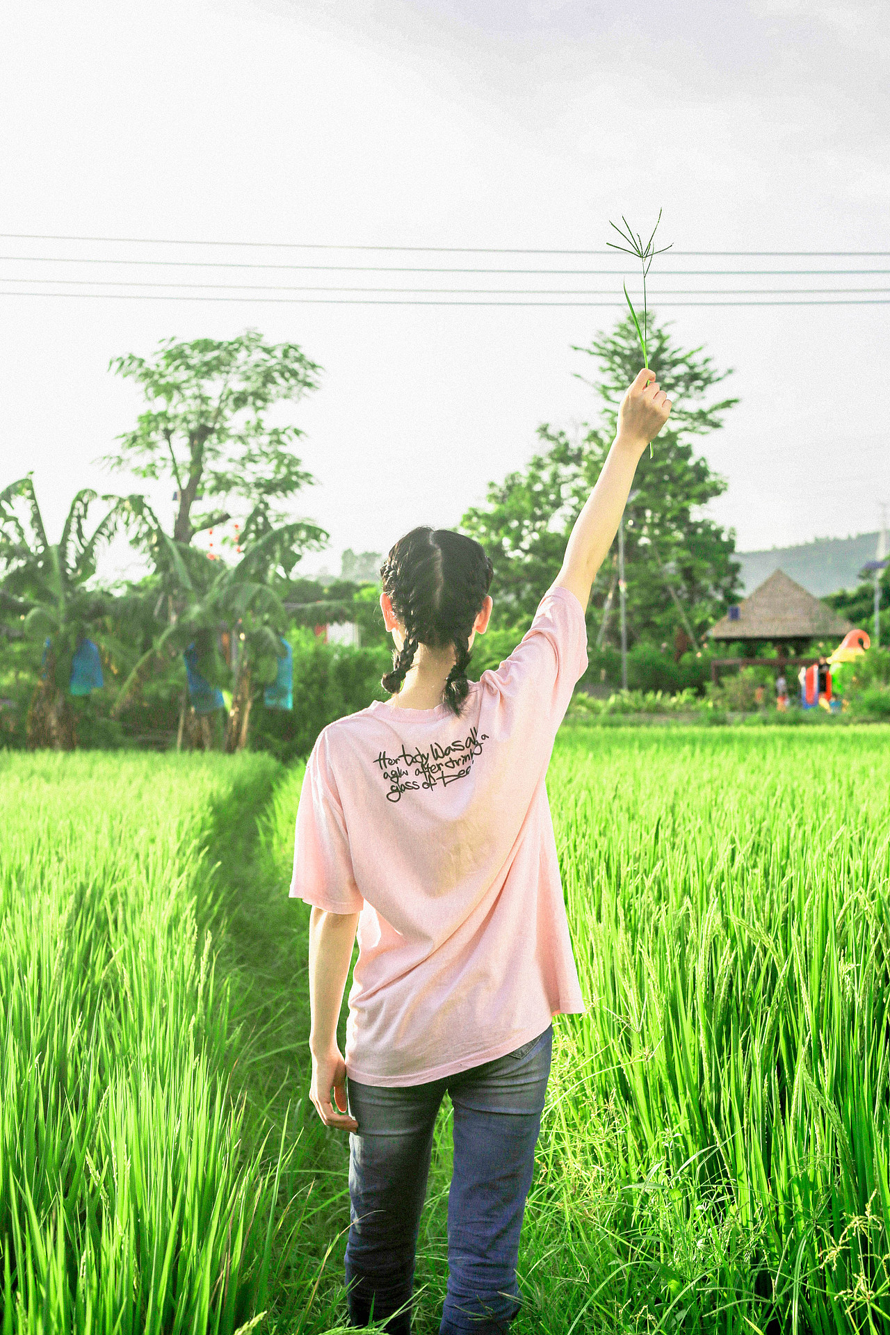 夏天的尾巴-云云