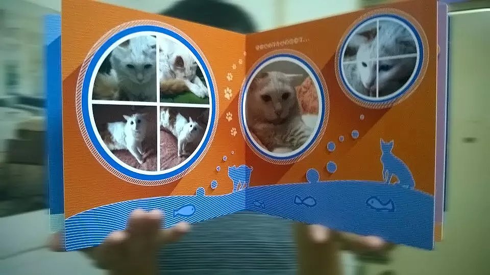 喵星人相册（图ZNDA3OTcyNDg=） - 其他平面 - 站酷设计师Rebecca_H原创素材 - 站酷ZCOOL