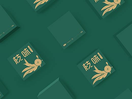 枝味茶叶包装