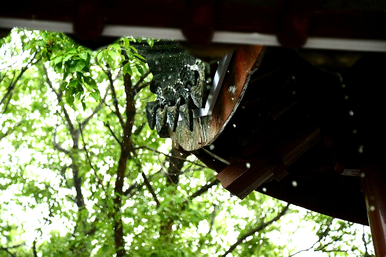 生活就是停停又走走~