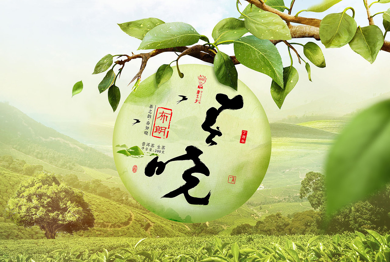 普洱春茶（图ZNzY1MzMwMjA=） - 修图/后期 - 站酷设计师oooozhou原创素材 - 站酷ZCOOL