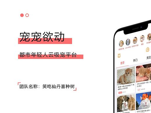 从0到1打造一款app：宠宠欲动-都市年轻人云吸宠平台