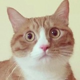 fffayyy的头像