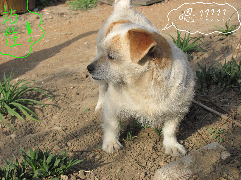 我结交了一群新朋友（图ZMjc2MjE0MzI=） - 文案/策划 - 站酷设计师画师x如也原创素材 - 站酷ZCOOL