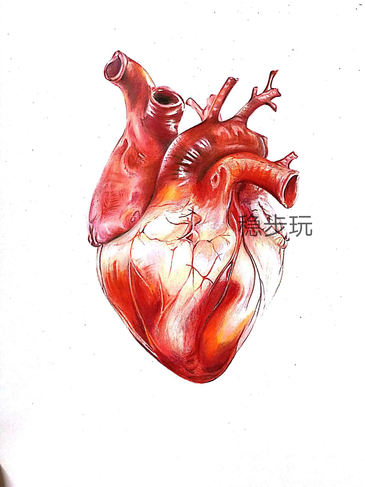 50张漂亮的心脏创意插画(3) - 设计之家