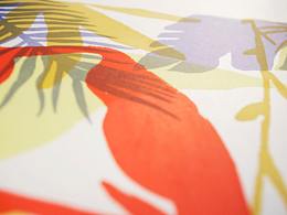 silkscreen printmaking 丝网印