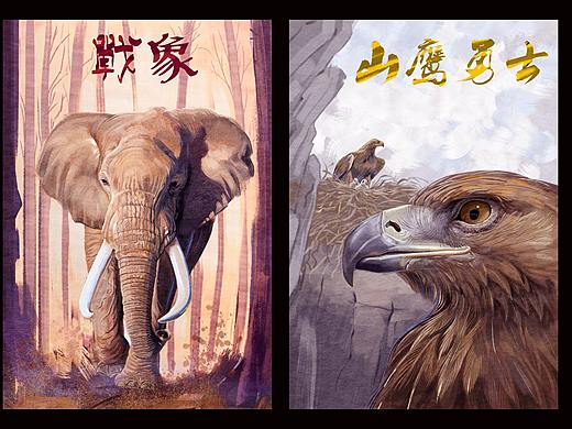 动物插画-动物小说封面 三幅
