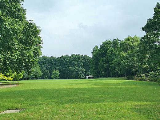 草地（个人主页-ZNDY1Mzc4ODQ=） - 风光摄影 - 站酷设计师Hummy叫哈米吗原创素材 - 站酷ZCOOL