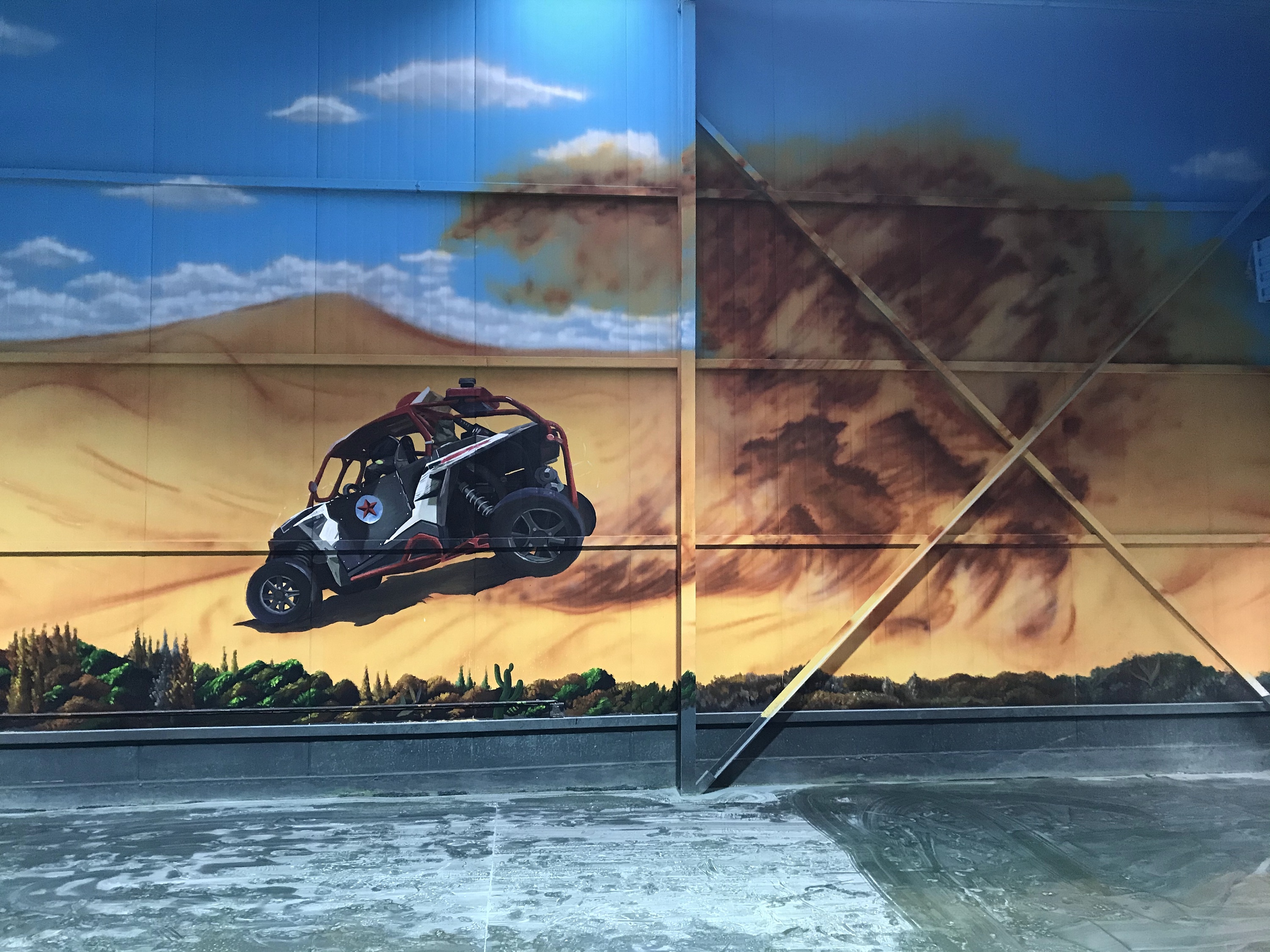 彩绘 石家庄沙漠彩绘 墙体彩绘|插画|新锐潮流插画|河北石家庄墙绘