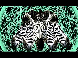 <20·19故障艺术>