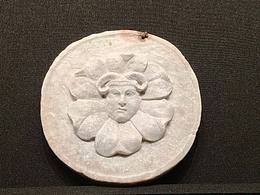 南山博物館之行