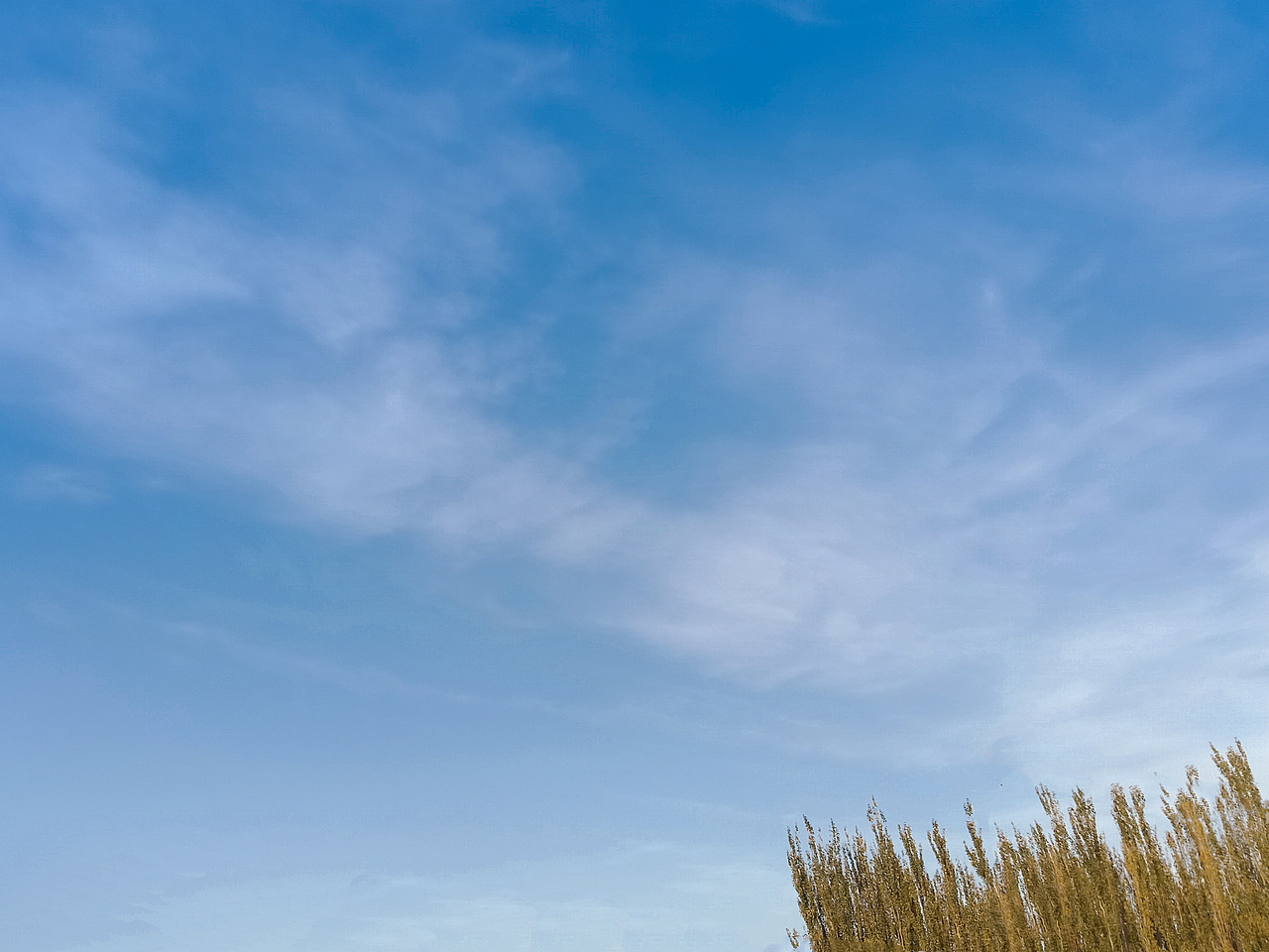 天空非常蓝 看起来很舒服