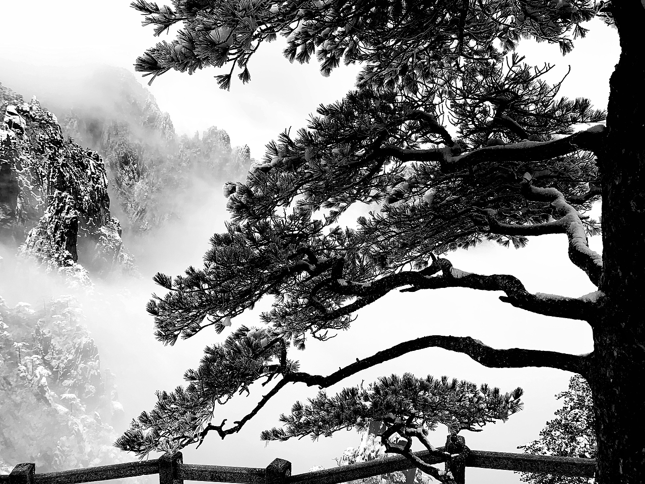 黄山-排云亭