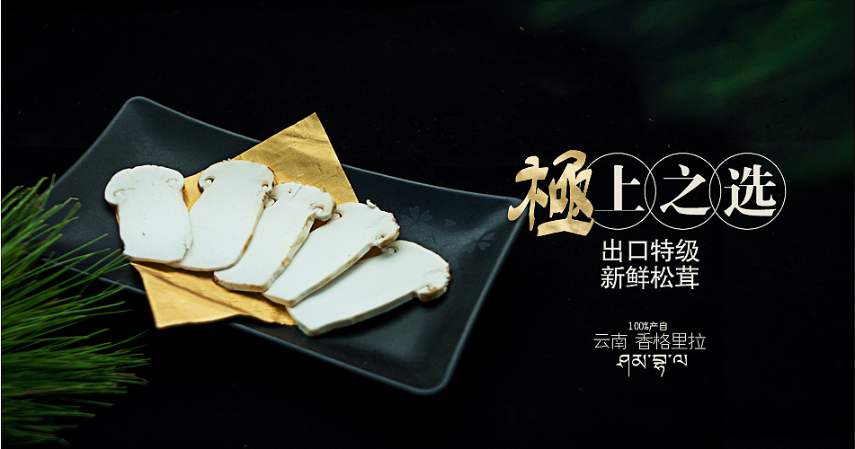 健膳乐食2015版松茸设计