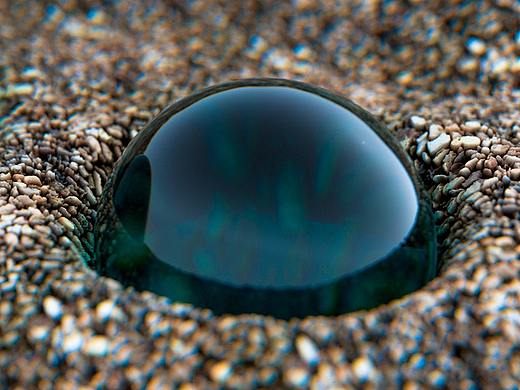 C4D建模-沙子里的玻璃球（个人主页-ZNDM3NjgyODA=） - 人物/生物 - 站酷设计师孟离原创素材 - 站酷ZCOOL